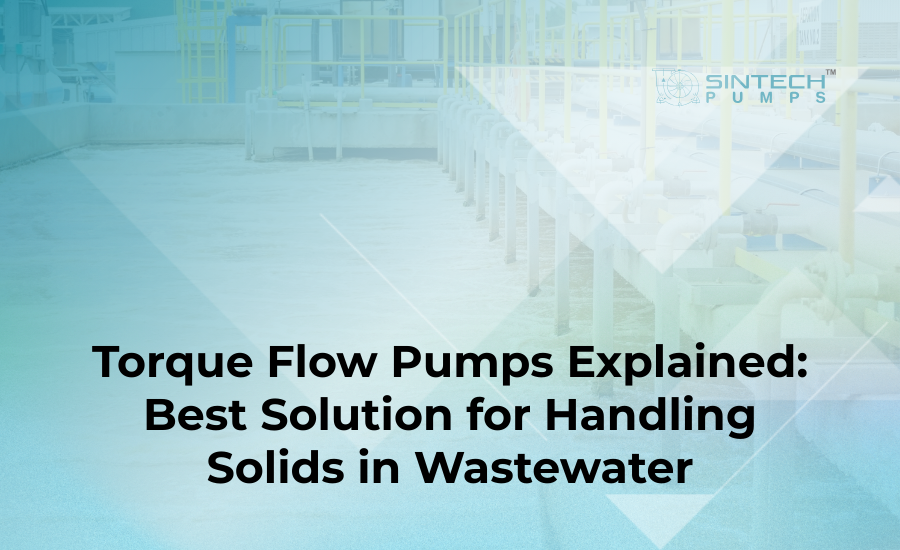 Solids handling pump installed in a municipal wastewater treatment plant for sludge and slurry transfer